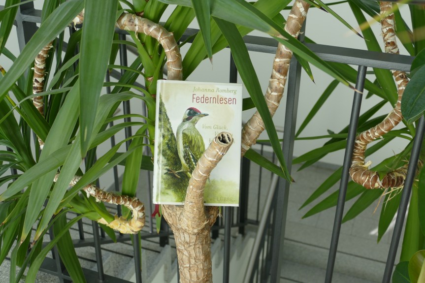 Johanna Romberg –&nbsp;Federnlesen